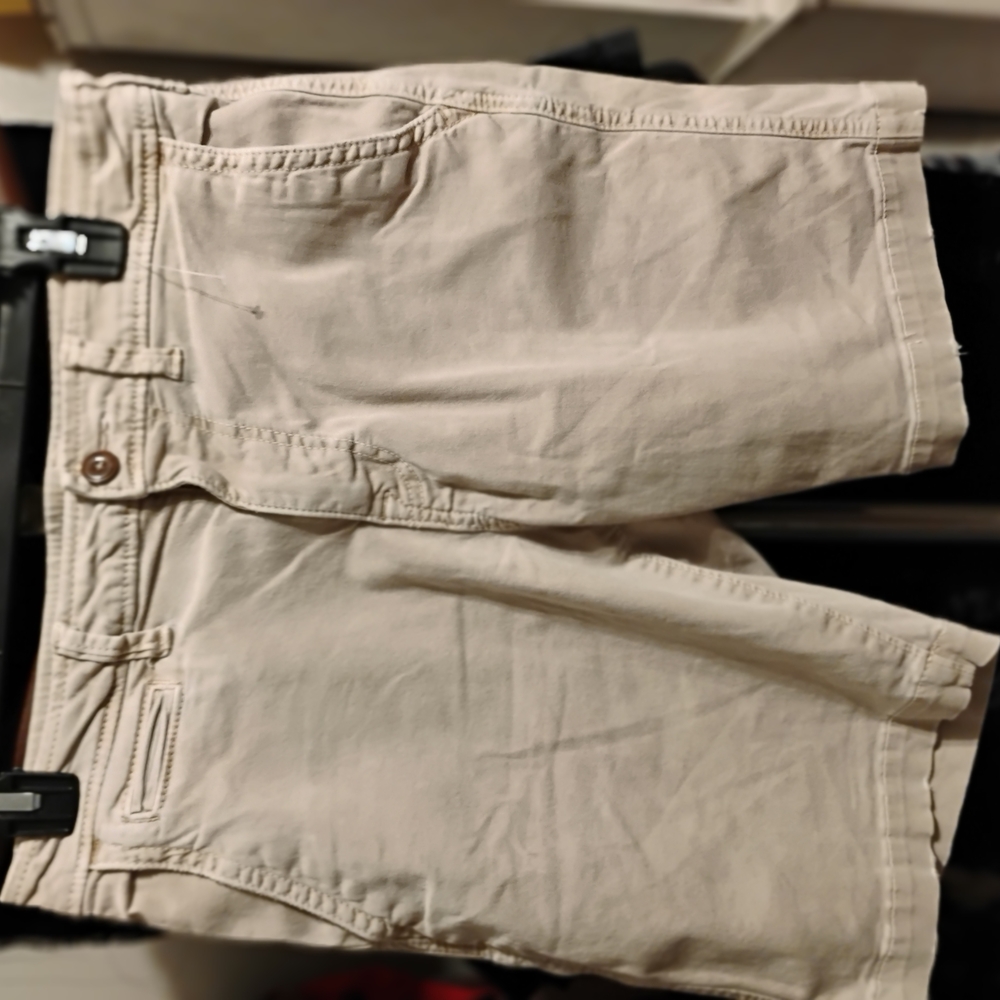 American Eagle Outfitters  Light Khaki Extreme Flex Shorts